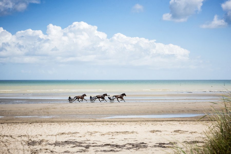 Cavaliers à l'entrainement sur Omaha Beach. Massimo Santi - stock.adobe.com