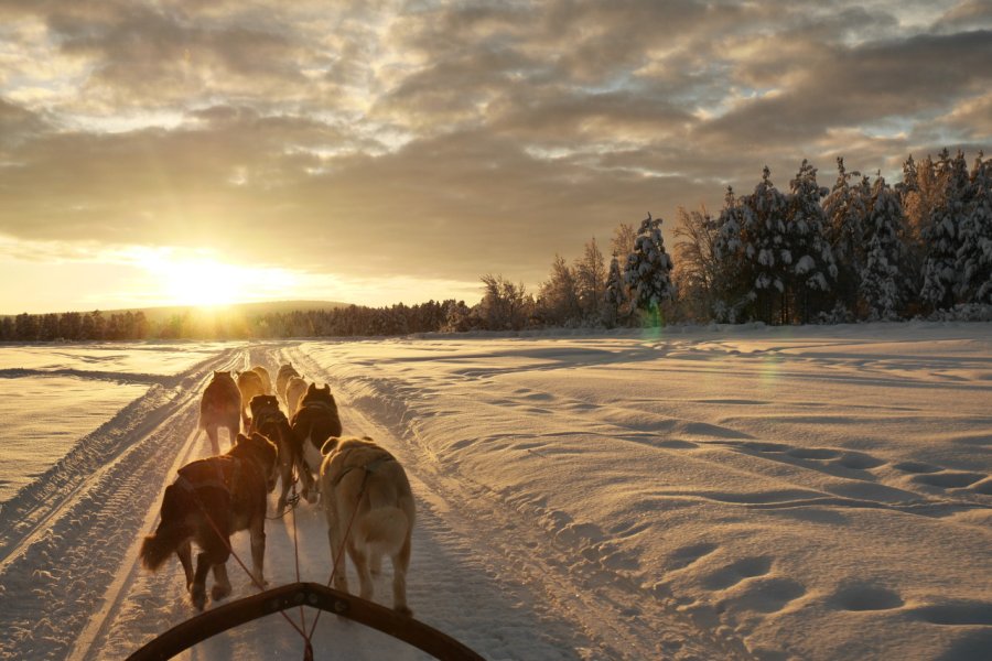 Expédition en traîneau à chiens. Alexandre Mottet - Shutterstock.com