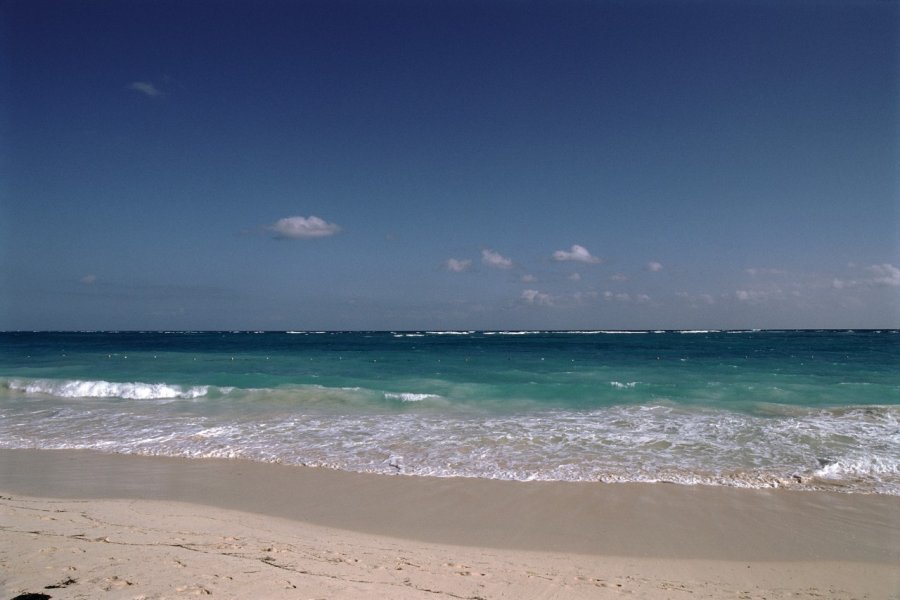 Playa Bavaro, une des belles plages de la côte des cocotiers. Author's Image