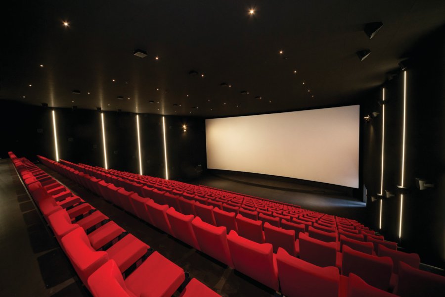 Arena Cinéma La Praille CENTRE COMMERCIAL ET DE LOISIRS - LA PRAILLE