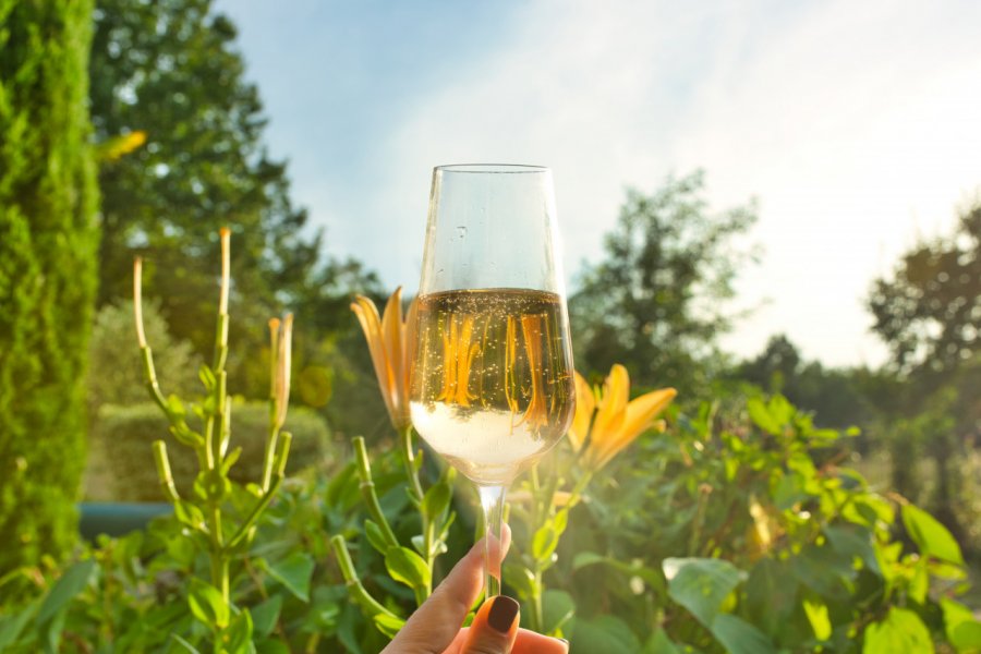 Verre de Crémant. Sharon Wildie - Shutterstock.com