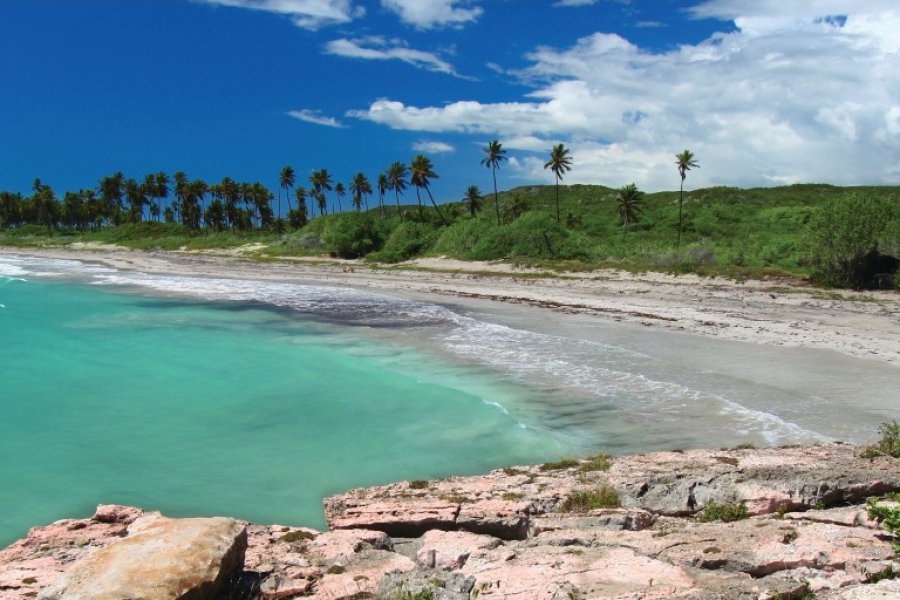 Panorama de Guanica. Wirepec - iStockphoto