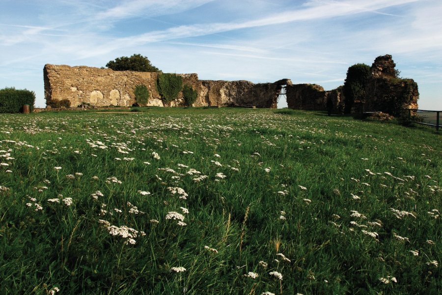 Dans les ruines du château de Mousson, les cours sont devenues des jardins sauvages Olivier FRIMAT