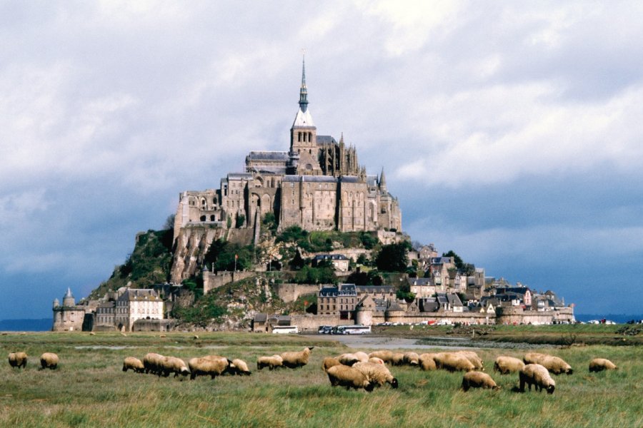 Moutons de pré-salé devant le Mont-Saint-Michel (© Philippe GUERSAN - Author's Image))