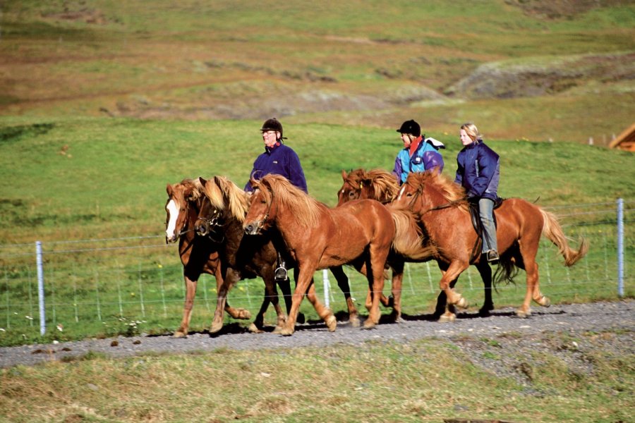 Parc national de Þingvellir. Author's Image