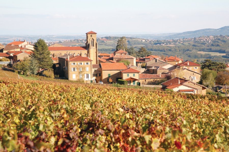 Vue sur le village de Theizé et son vignoble. (© Volfoni))