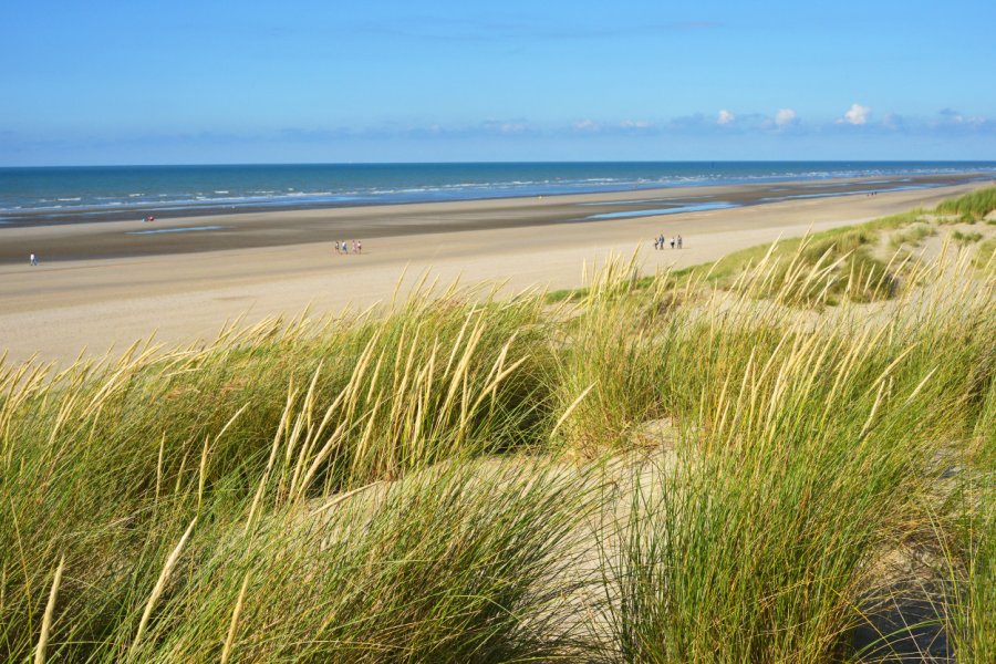 Le littoral vers Bray-Dunes. Sinuswelle- Shutterstock.com