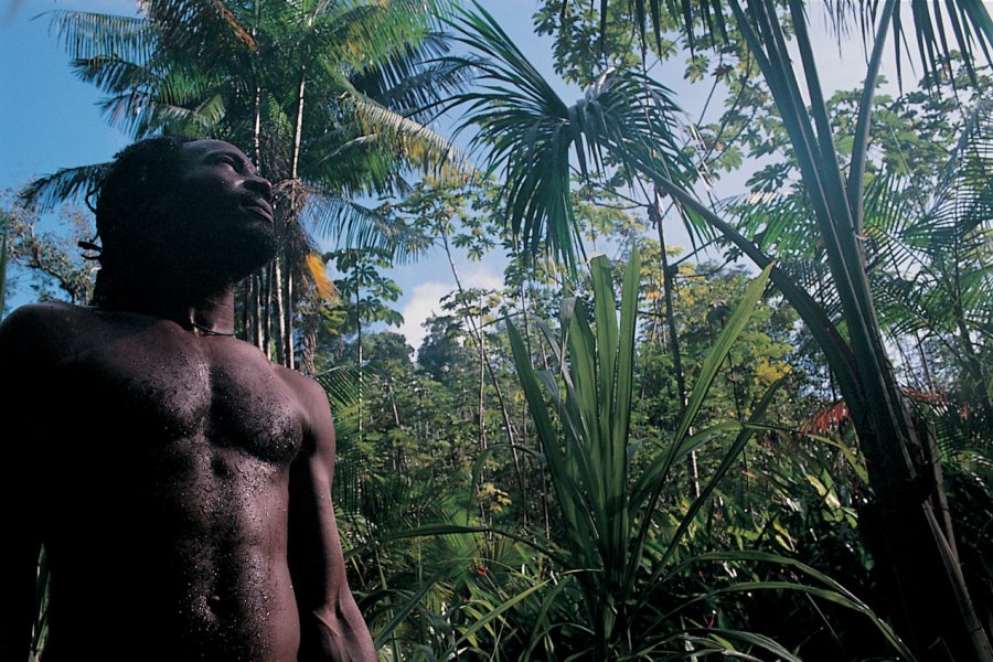 Dans la forêt amazonienne. Sandra DAVEAU