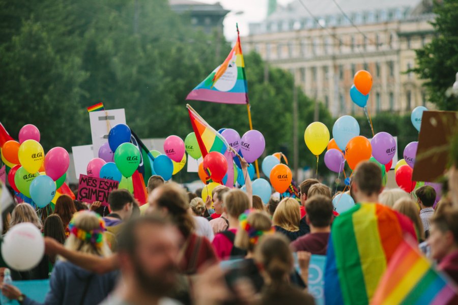 L'Europride à Rīga en 2015. ArtursD - Shutterstock.com