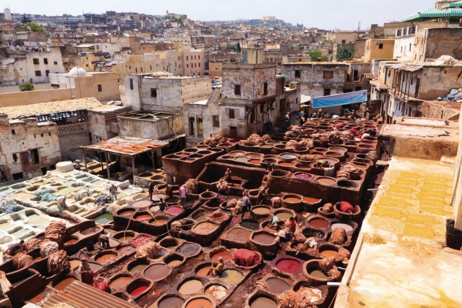 Les bassins de teinture du quartier des tanneurs. Philippe GUERSAN - Author's Image