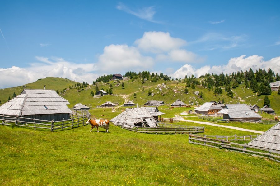 Le plateau de Velika Planina. Matic Stojs - Shutterstock.com