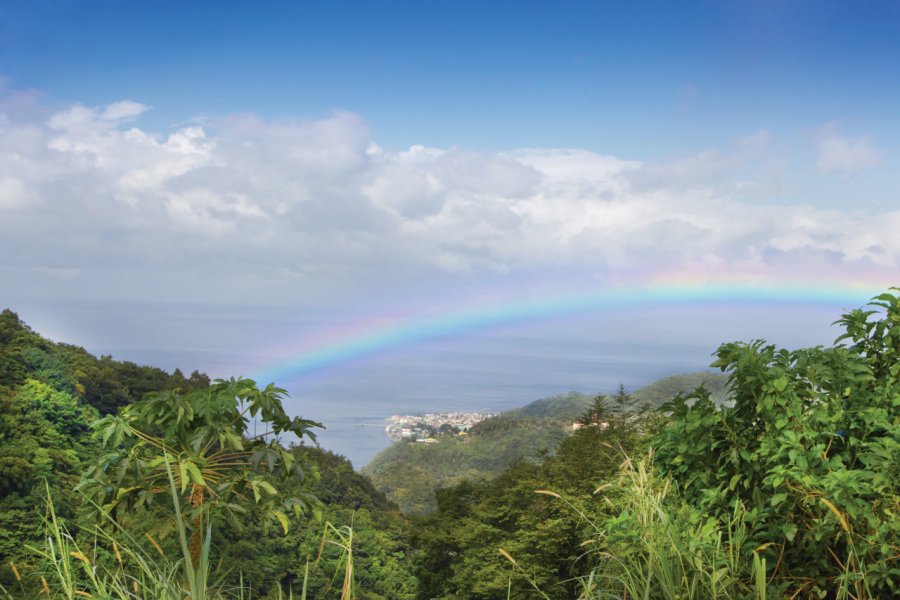 Arc-en-ciel au dessus de la jungle. Frizzantine - iStockphoto.com