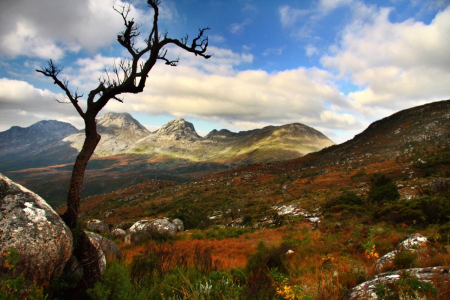 Massif de Mulanje. Karl Beeney - Shutterstock.com