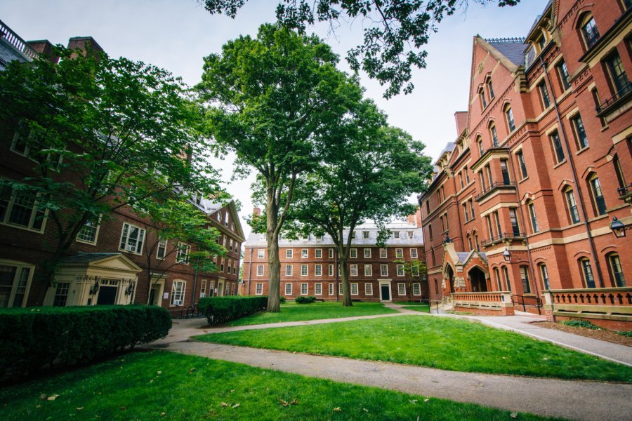 Campus d'Harvard à Cambridge. shutterstock - Jon Bilous