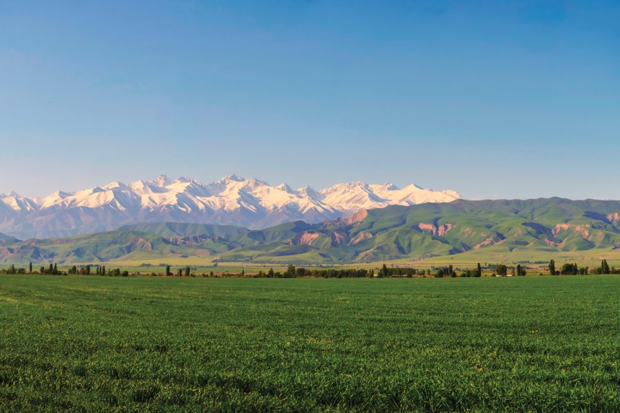 Champs agricole dans les montagnes. Iurii Kuznetsov - iStockphoto.com