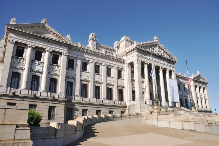 Palacio Legislativo. Dantok - Fotolia