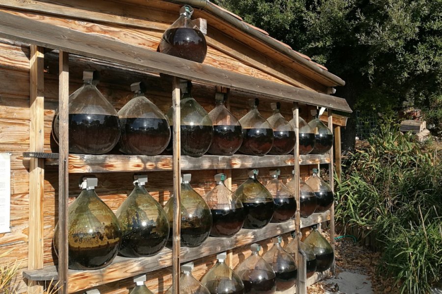 Vinaigrerie artisanale. Laurent BOSCHERO