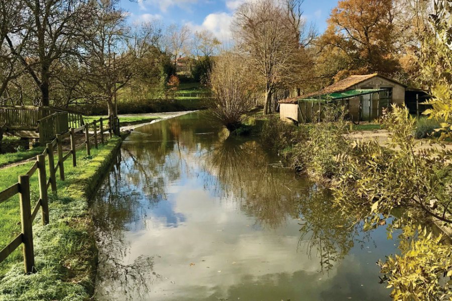 La rivière l'Autise, marais poitevin. (© Linda CASTAGNIE))