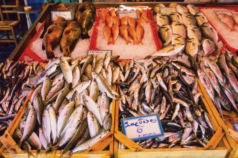Vente de poissons. Author's Image
