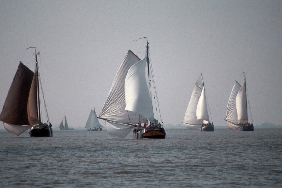 La course surréaliste de vieux gréements sur l'IJsselmeer. H.Fougère - Iconotec