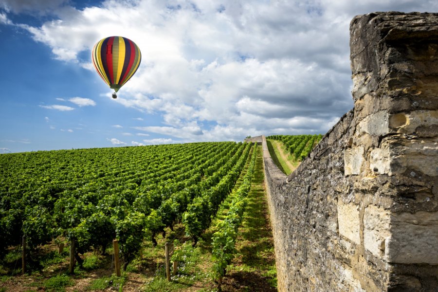 Montgolfière survolant les vignes. Massimo Santi - Shutterstock.com