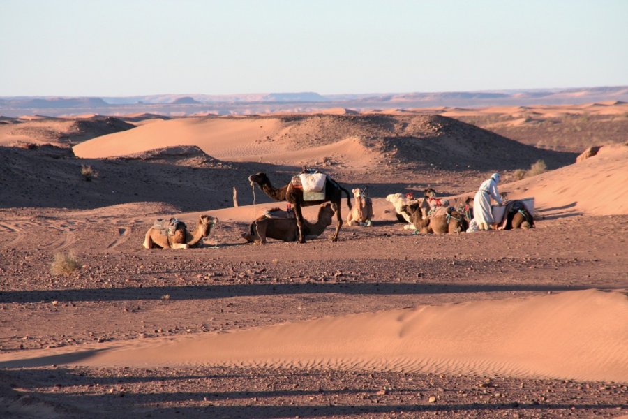 Campement berbère sur les dunes de M'Hamid. Stéphan SZEREMETA