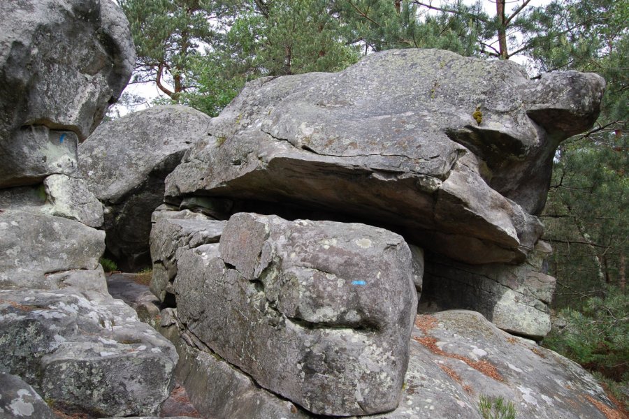 Forêt de Fontainebleau. Anne GEOFFROY - Fotolia