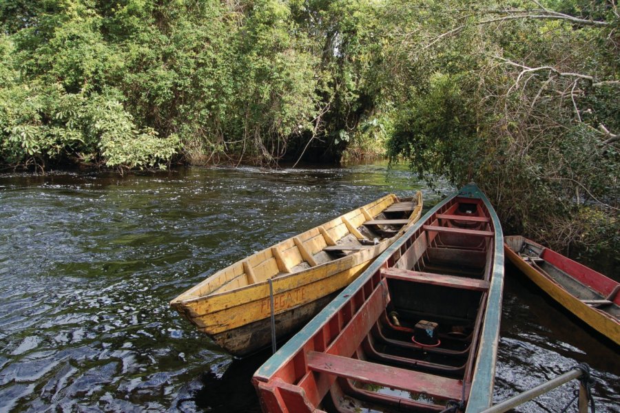 Pirogues sur le fleuve Iracoubo. Mathieu DELMER