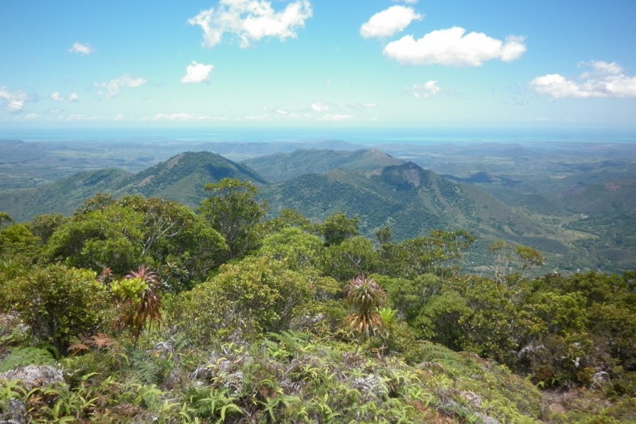 Le plateau de Dogny Maïlys ALBERTO