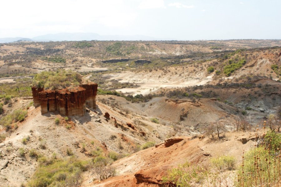 Les Gorges d'Olduvai. ChrisCrafter