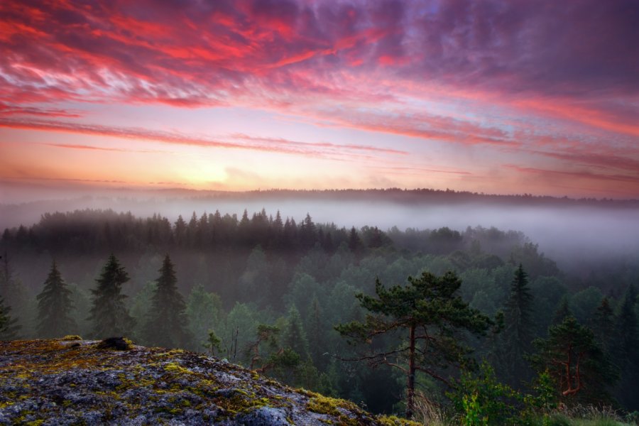 Parc national de Nuuksio. Ari N - Shutterstock.com