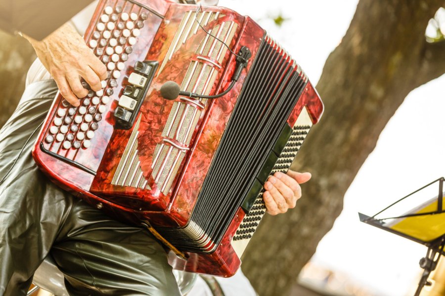 L'accordéon fait partie de la musique traditionnelle franc-comtoise. Andrew Angelov - Shutterstock.com