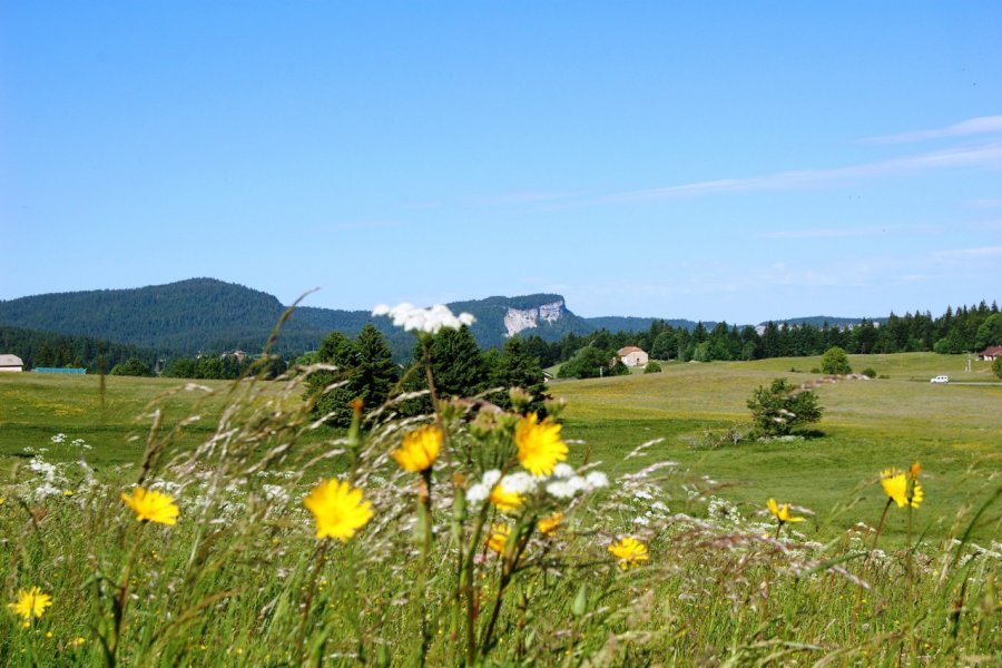 Vue sur le Mont Fier. Jura Tourisme/F. Spicher