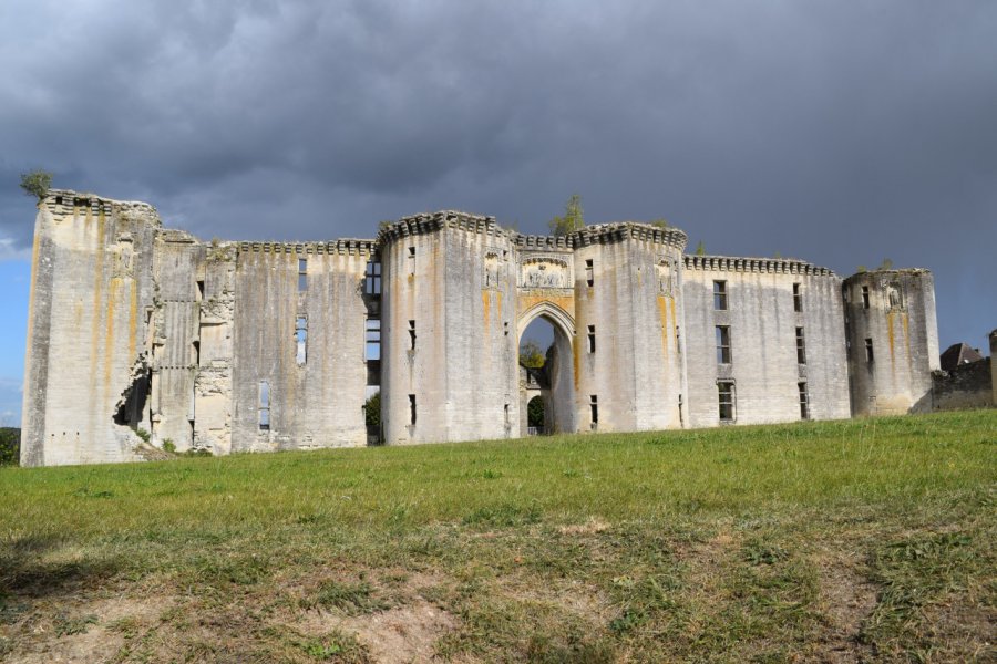 Les impressionnantes ruines du château de La Ferté-Milon. Christophe TELLIER