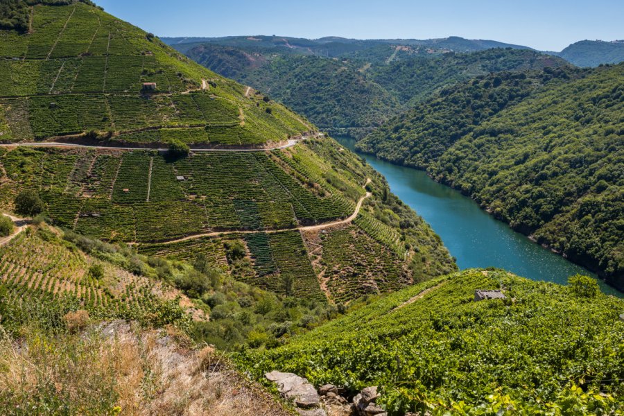 Les vignes des environs de Lugo. Noradoa - Shutterstock.com