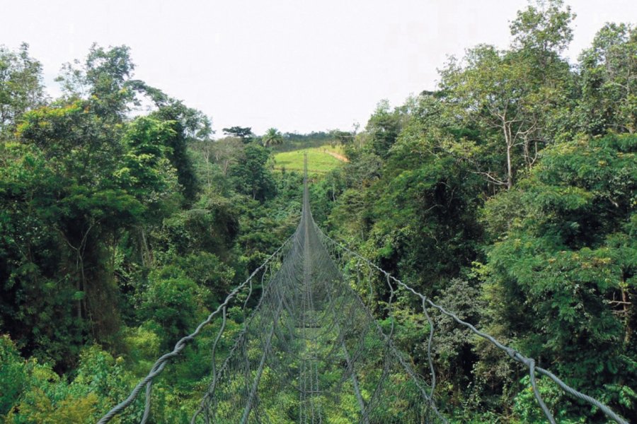 Pont de câble dans le parc de la Lékédi. Bernadette VOISIN