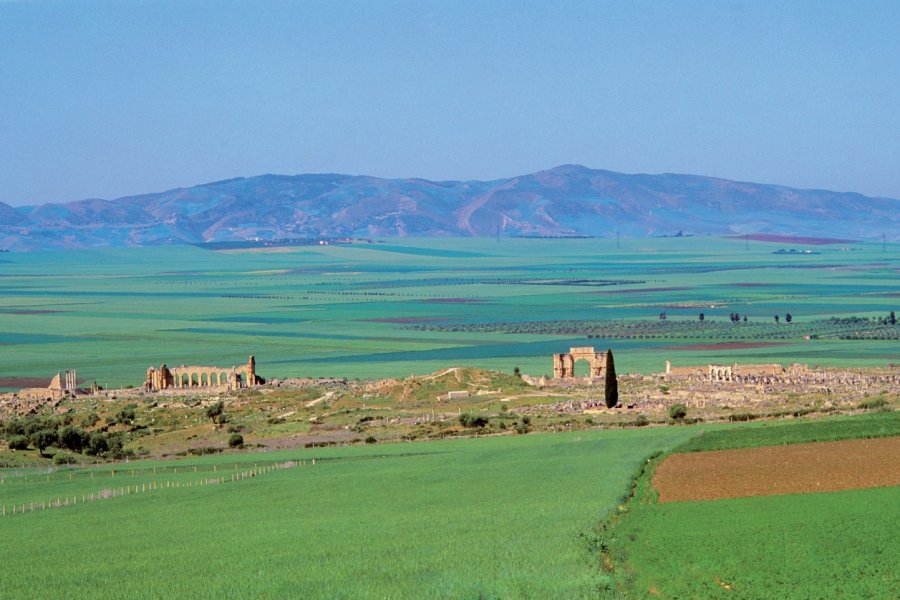 La cité romaine de Volubilis. Author's Image