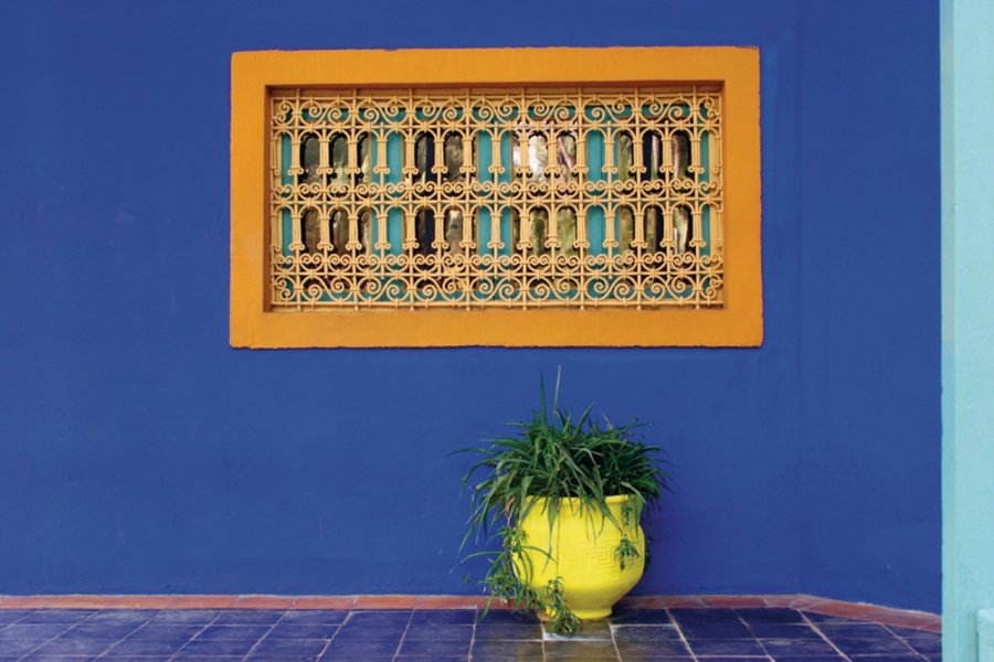 Jardin Majorelle. Eloïse BOLLACK