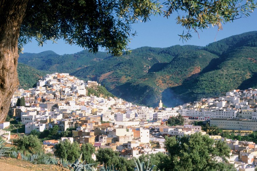 Région de Moulay Idriss. Author's Image