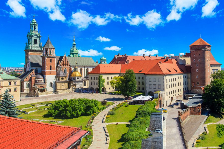 Château de Wawel. Marcin Krzyzak - Shutterstock.com