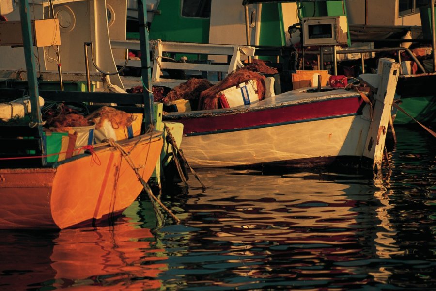 Port de pêche de Paphos. Cali - Iconotec
