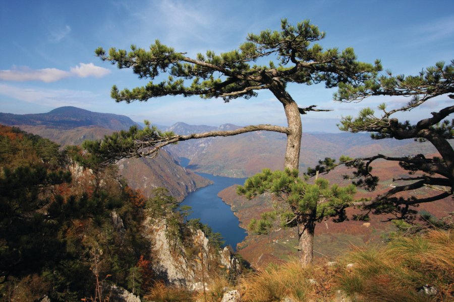 Point de vue Bnjska Stena. National Tourism Organisation of Serbia