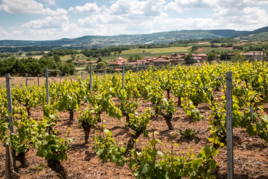 Boudes, village vigneron. B. Piccoli - adobe.stock.com