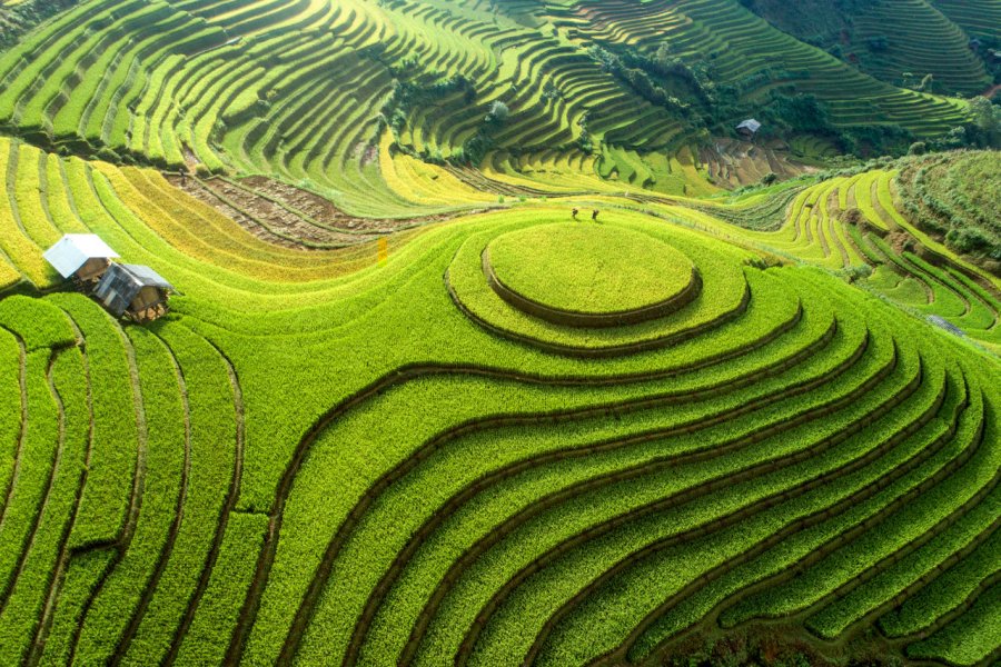 Rizières de la région de Mu Cang Chai. Tonkinphotography - Shutterstock.com