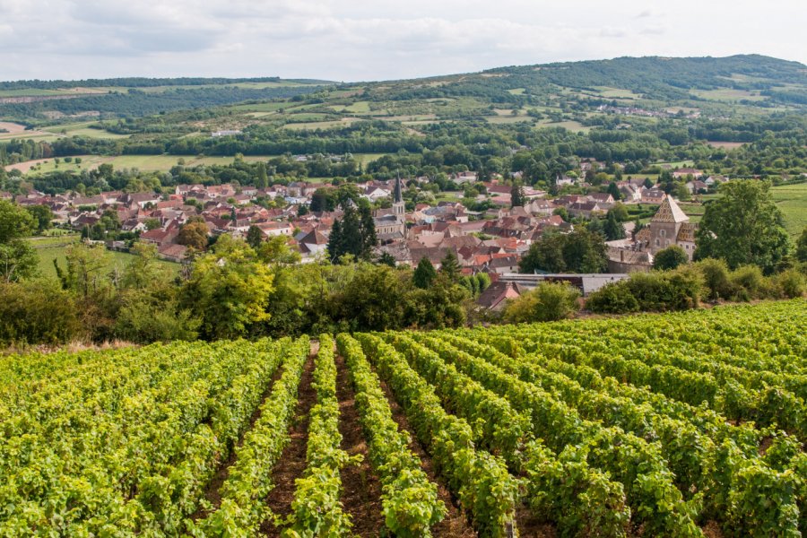Vignoble et village de Santenay. Gilles Oster - Adobe Stock