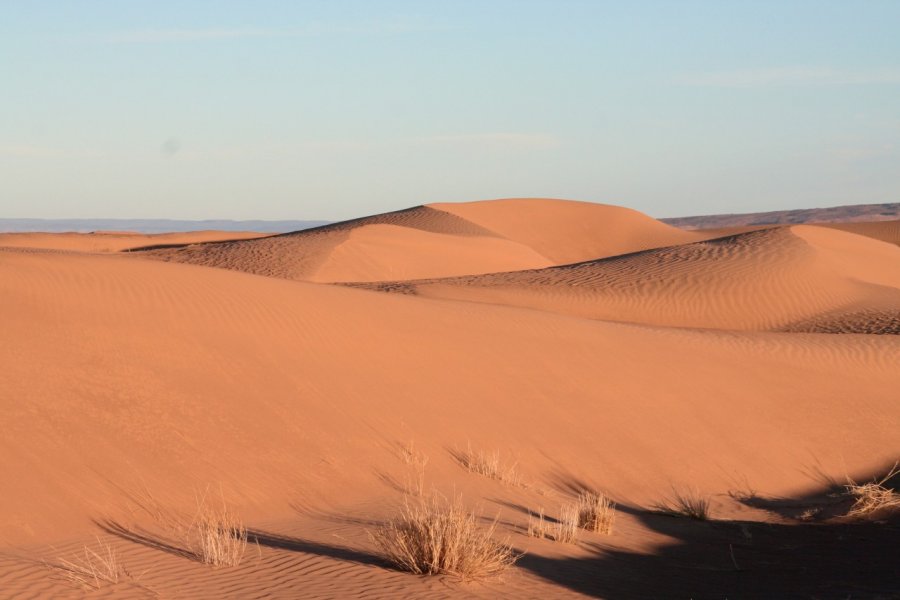 Lumière sur le sable des dunes de M'Hamid. Stéphan SZEREMETA