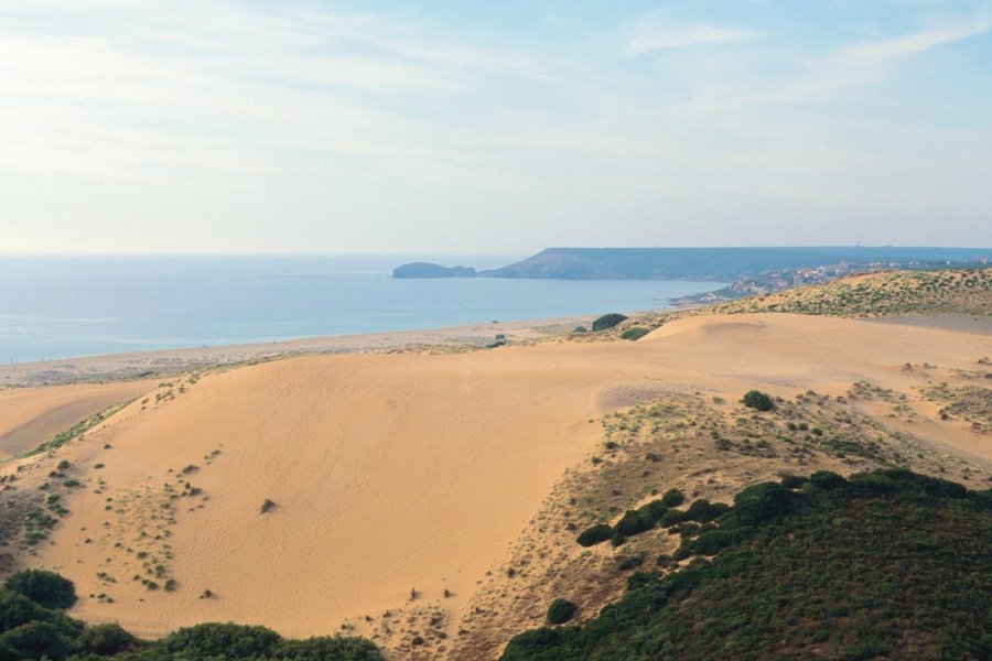Dunes de Cabras. Author's Image