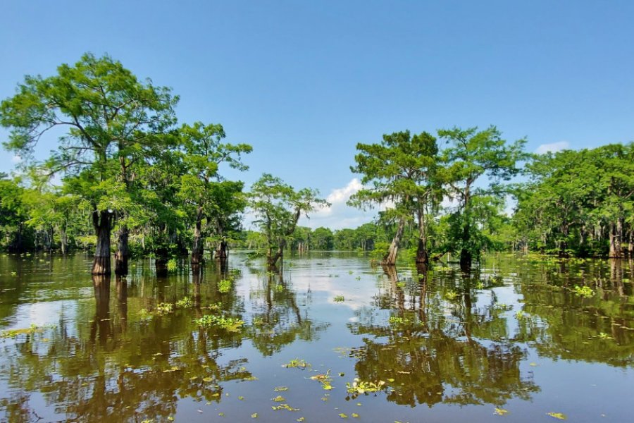 Bassin de l'Atchafalaya. Valérie FORTIER