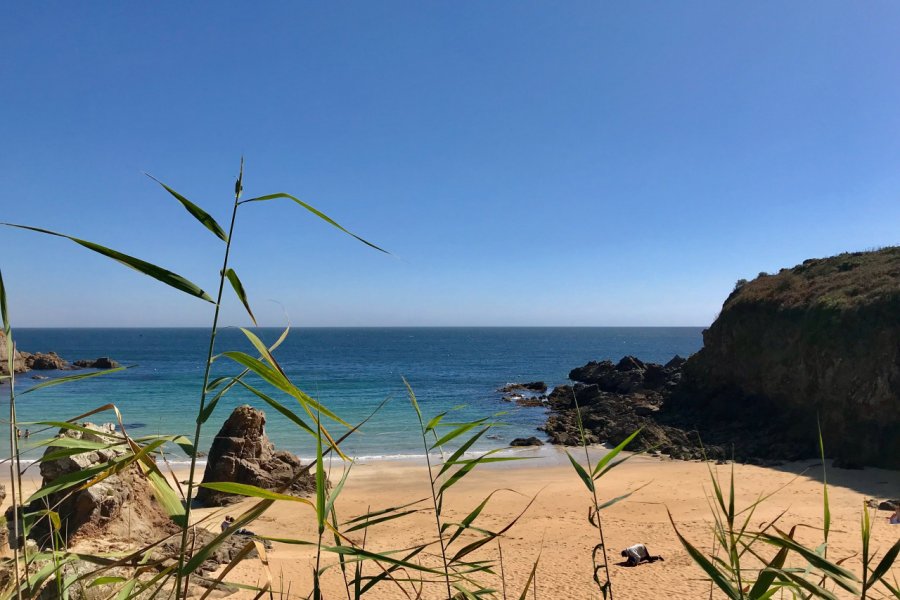 Plage des Soux, île d'Yeu. Linda CASTAGNIE