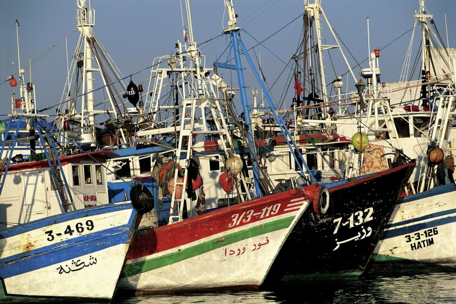Port de pêche de Tanger. Thierry Lauzun - Iconotec